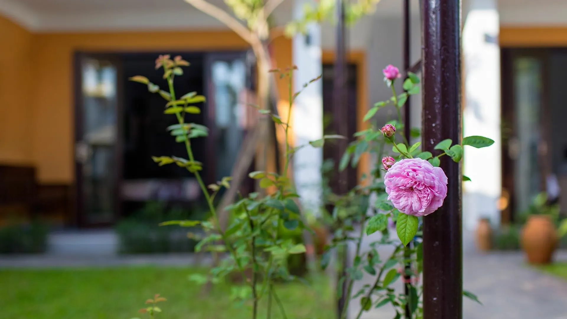 Villa Ohana Gadren By Cocoviet Hoi An