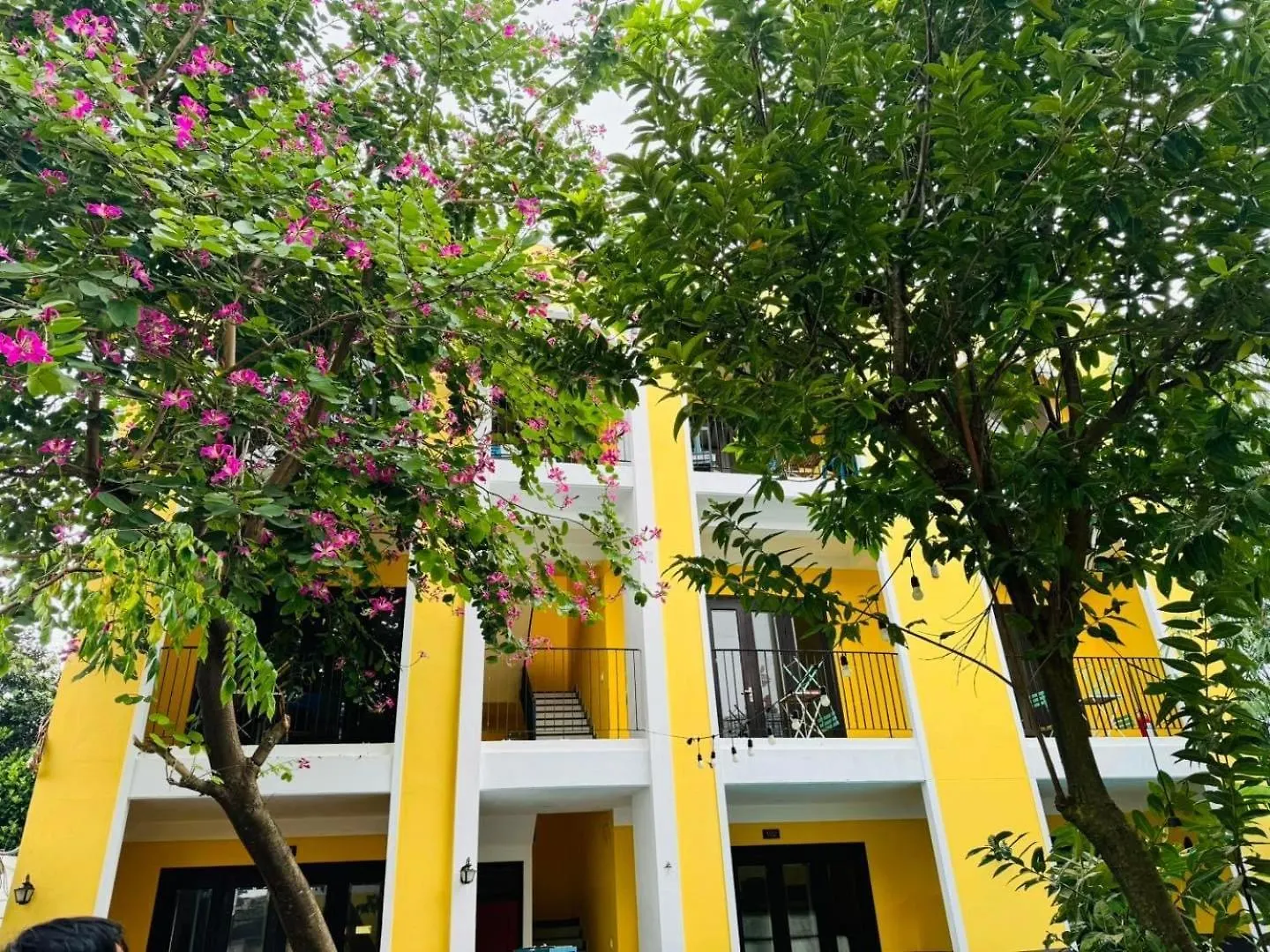 Ohana Gadren Hoian Villa By Cocoviet Hoi An 0*,  Vietnam